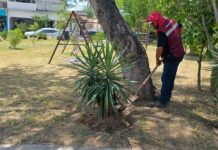 Mejora continua en la infraestructura urbana de Reynosa