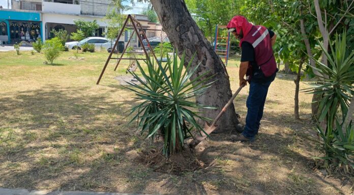 Mejora continua en la infraestructura urbana de Reynosa