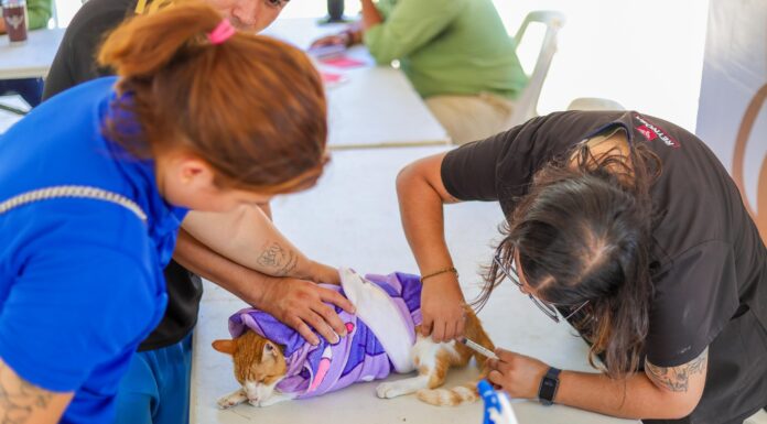 Imparable Gobierno de Reynosa por la salud de las mascotas