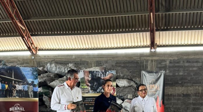 Recorrió presidenta empacadora de carbón vegetal “El Bernal