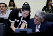 Diputados de Movimiento Ciudadano presentan iniciativa para garantizar el cuidado de las mascotas en casos de divorcio