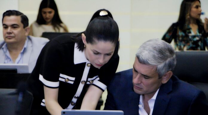 Diputados de Movimiento Ciudadano presentan iniciativa para garantizar el cuidado de las mascotas en casos de divorcio