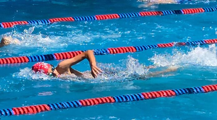 Participó Equipo de Natación Dragones IMD en Torneo de Independencia