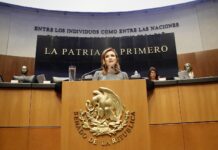 Imelda Sanmiguel Sánchez propone crear equipos de respuesta rápida para búsqueda de mujeres desaparecidas