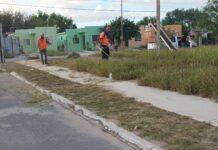 Actividades de conservación de espacios públicos en Reynosa