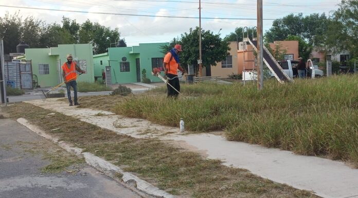 Actividades de conservación de espacios públicos en Reynosa