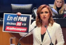 Imelda Sanmiguel Sánchez advierte retroceso con la reforma a la Ley de Amparo