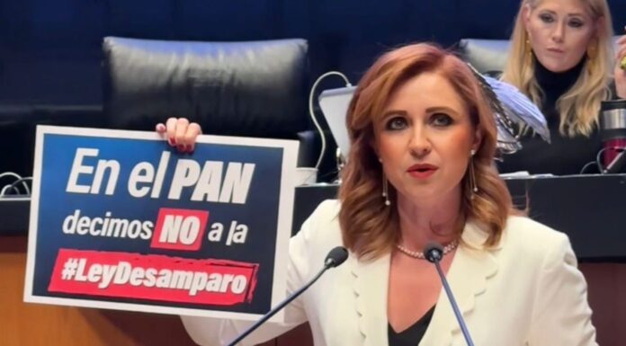 Imelda Sanmiguel Sánchez advierte retroceso con la reforma a la Ley de Amparo