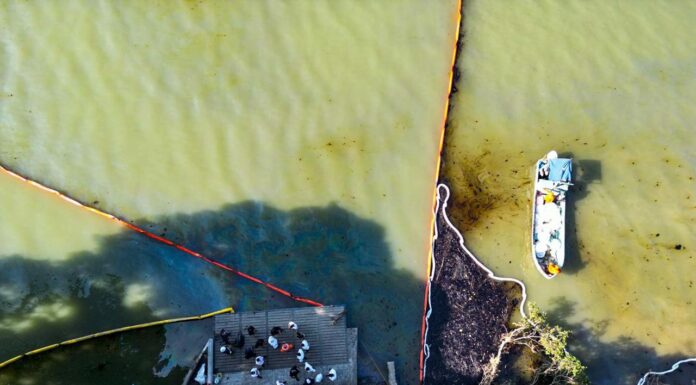 Participan más de 600 elementos en la limpieza y remediación del río Pantepec en Veracruz