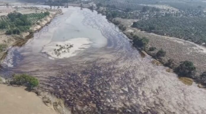 Concluye Pemex reparación de ducto en Álamo Temapache, Veracruz