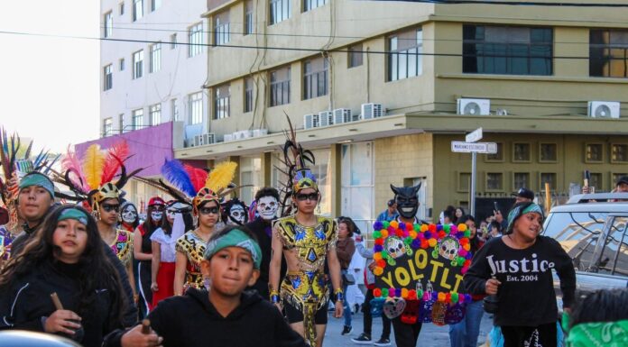 Universidad Tamaulipeca celebra el Día de Muertos con desfile y muestras culturales