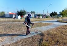 Efectúa Gobierno de Carlos Peña Ortiz actividades de limpieza y mantenimiento de Reynosa