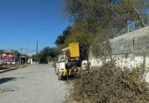 Podan cuadrillas municipales árboles, para seguridad de alumnos de escuela de Reynosa