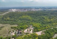 Protege Pemex más de 2 mil hectáreas de biodiversidad en Veracruz