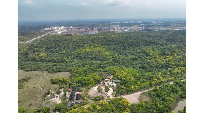 Protege Pemex más de 2 mil hectáreas de biodiversidad en Veracruz