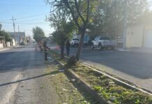 Mejora Gobierno de Reynosa aspecto y condición sanitaria de colonias