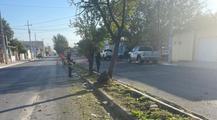 Mejora Gobierno de Reynosa aspecto y condición sanitaria de colonias