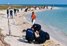 Grupo Interinstitucional actualiza avances y refuerza acciones integrales ante presencia de hidrocarburos en costas del Golfo de México