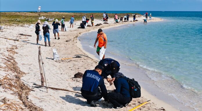 Grupo Interinstitucional actualiza avances y refuerza acciones integrales ante presencia de hidrocarburos en costas del Golfo de México