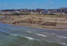 Gobierno de México refuerza acciones integrales ante presencia de hidrocarburos en costas del Golfo de México