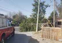 Dañaron vientos intensos red eléctrica en Reynosa sin registrarse lesionados