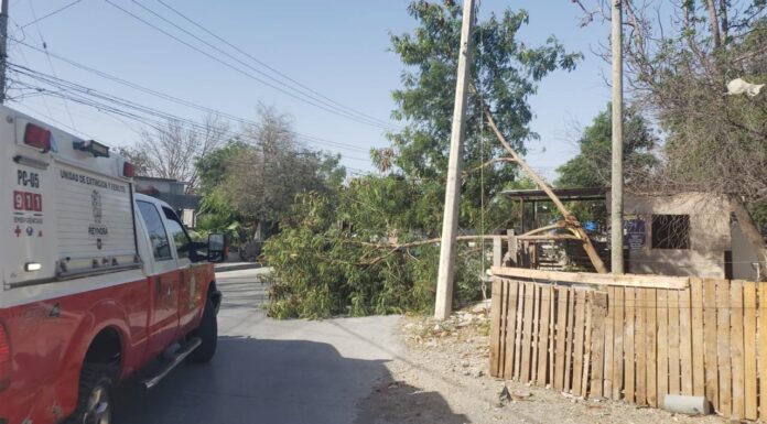 Dañaron vientos intensos red eléctrica en Reynosa sin registrarse lesionados