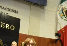 Votó pleno del Senado iniciativa de Maki Ortiz que promueve justicia ambiental