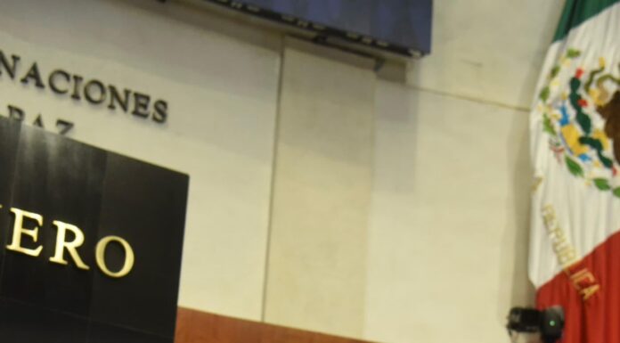 Votó pleno del Senado iniciativa de Maki Ortiz que promueve justicia ambiental