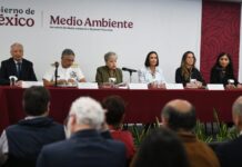 Pemex refuerza acciones de limpieza y apoyo tras presencia de hidrocarburos en Veracruz