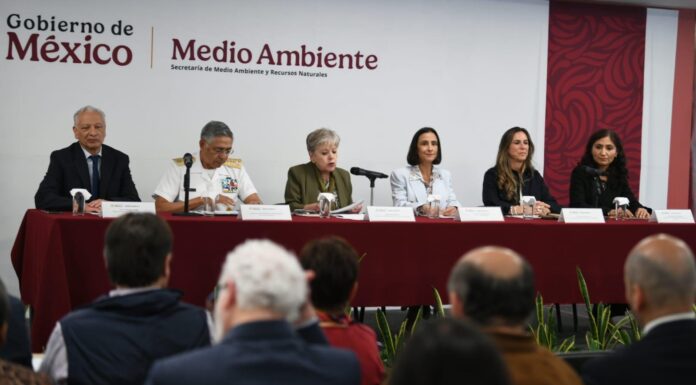 Pemex refuerza acciones de limpieza y apoyo tras presencia de hidrocarburos en Veracruz
