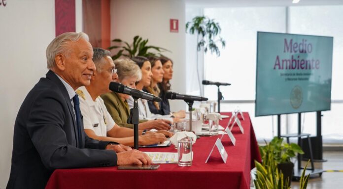 Un buque y dos chapopoteras naturales, la causa de la emanación de hidrocarburos en Veracruz y Tabasco: GI