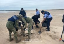 Grupo Interinstitucional mantiene acciones para la contención de hidrocarburo en costas del estado de Tamaulipas