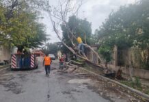 Restableció Gobierno de Reynosa daños causados por las lluvias