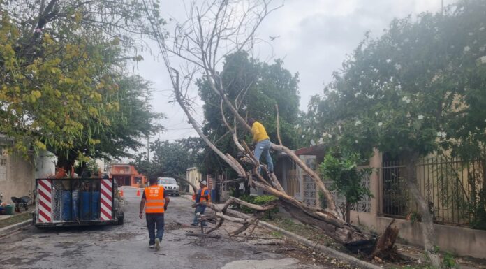 Restableció Gobierno de Reynosa daños causados por las lluvias