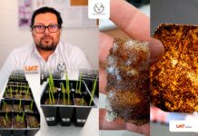 Patenta la UAT bioplásticos que recuperan suelos erosionados