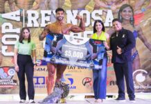 Apoya el Gobierno de Reynosa la Copa de Fisicoconstructivismo