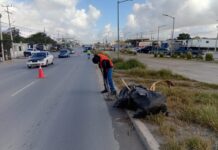 Realizó Gobierno de Reynosa Jornada de Limpieza en la avenida Rodolfo Garza