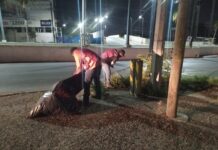 Avanza manteniendo urbano de Reynosa mediante trabajo nocturno del Municipio