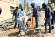 Trabaja COMAPA en reparación de caídos en la colonia Anzaldúas