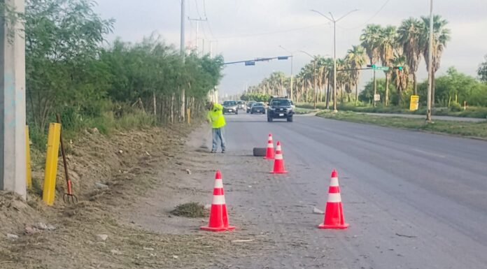 Mejora visibilidad de conductores la limpieza de avenidas