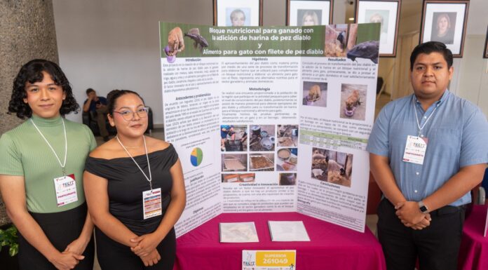 Estudiantes de la UAT transforman plaga en alimentación animal de alto valor nutricional