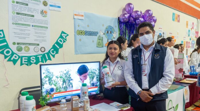 Desarrolla alumna de la UAT biopesticida que elimina plagas agrícolas