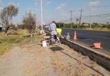 Intensa semana de trabajo de Servicios Públicos en colonias de Reynosa
