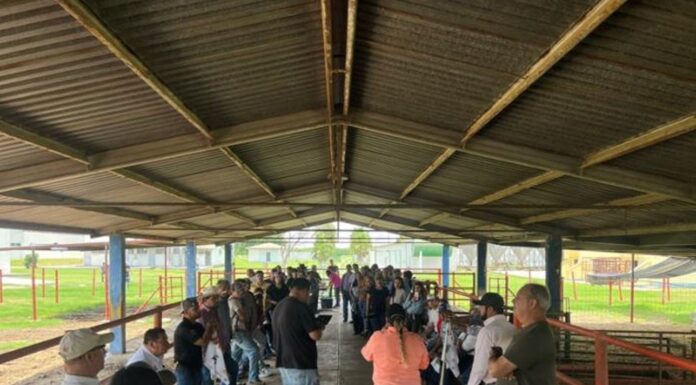 Refuerza la UAT brigadas de contención frente al gusano barrenador en Tamaulipas
