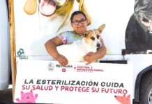 Brinda Gobierno de Carlos Peña Ortiz esterilizaciones a caninos en situación de calle