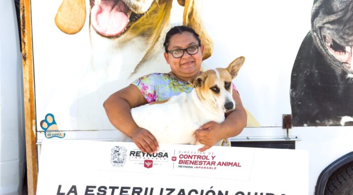 Brinda Gobierno de Carlos Peña Ortiz esterilizaciones a caninos en situación de calle