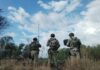 Despliegan 500 efectivos del Ejército y Guardia Nacional con el apoyo de dos helicópteros de la Fuerza Aérea en la frontera de Tamaulipas